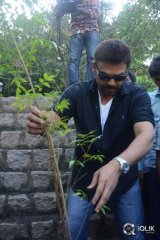  Venkatesh At Haritha Haaram Event